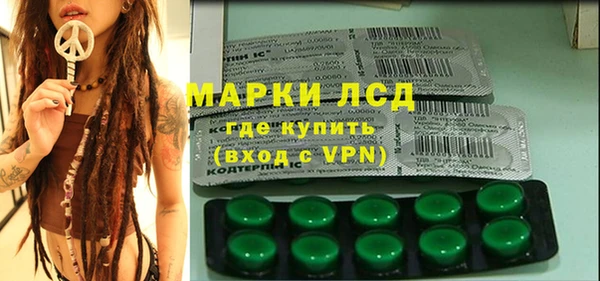 спайс Алзамай