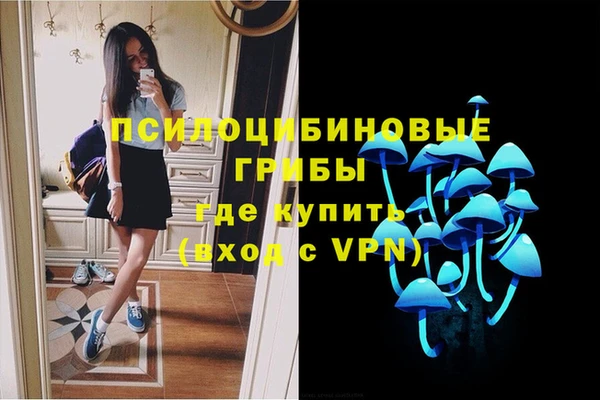 гашик Алексеевка
