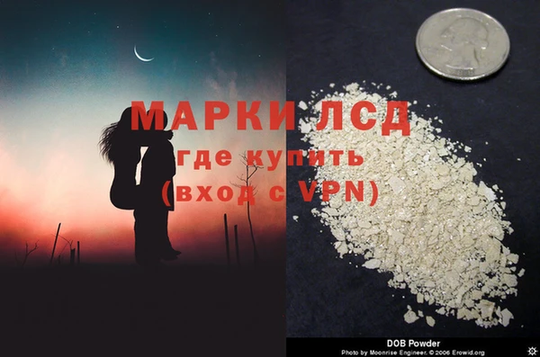 спайс Алзамай