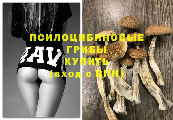 спайс Алзамай