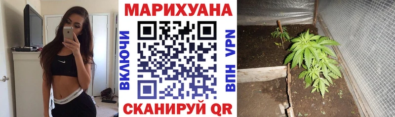 Шишки марихуана план  Енисейск 